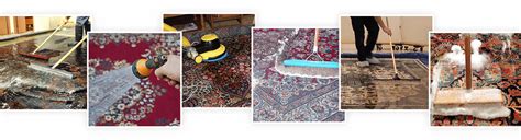 Clean Green Carpet Cleaning Seattle